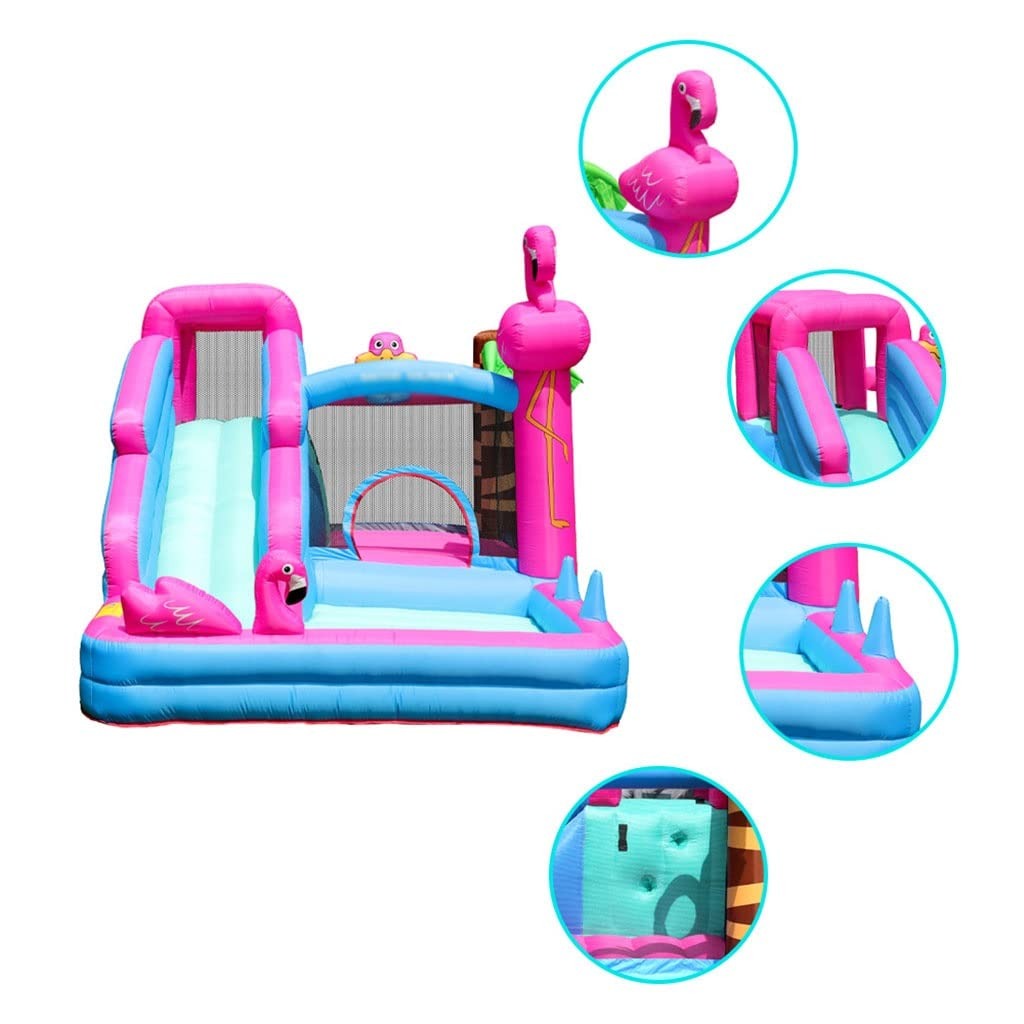 Inflable Dolphin Flamenco