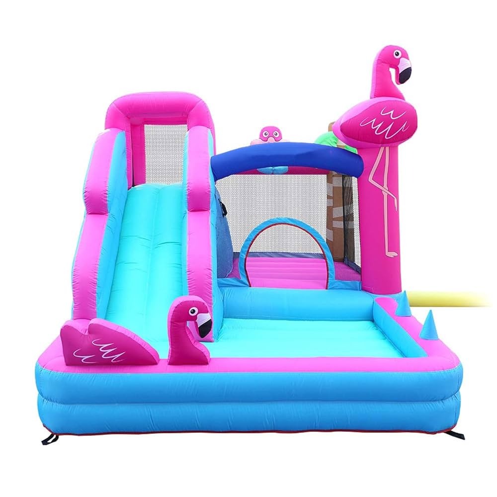 Inflable Dolphin Flamenco1