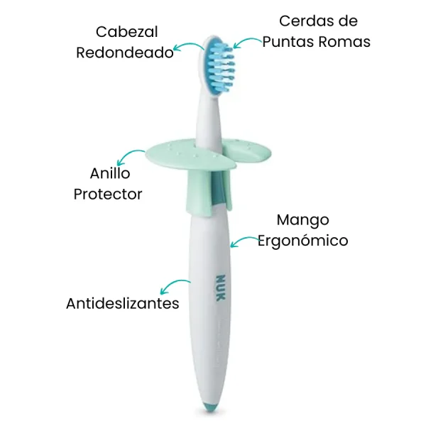 Cepillo Dental de Inicio +12 con Anillo de Seguridad Nuk